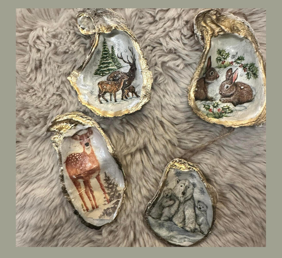 Celebration Shells